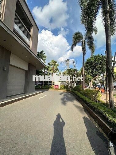 Cho Thuê Mặt Bằng Shophouse Đường Hòa Bình, Tân Phú ( KD Thoải Mái )