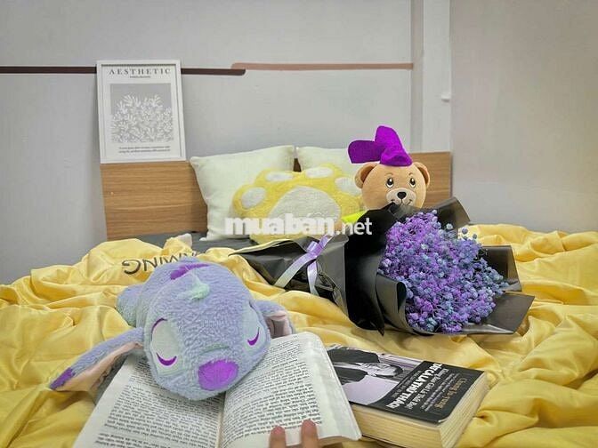 CHO THUÊ CHDV 1PN GẦN ĐH VĂN HIẾN Ở ĐƯỢC 2-3 BẠN