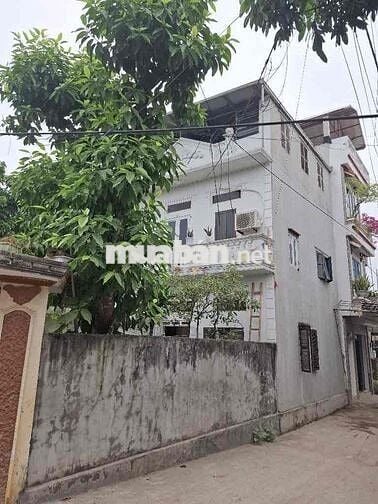 Bán Nhanh,Phụng Châu, lô Góc, ô tô đậu ngõ,120m,4.8tỷ