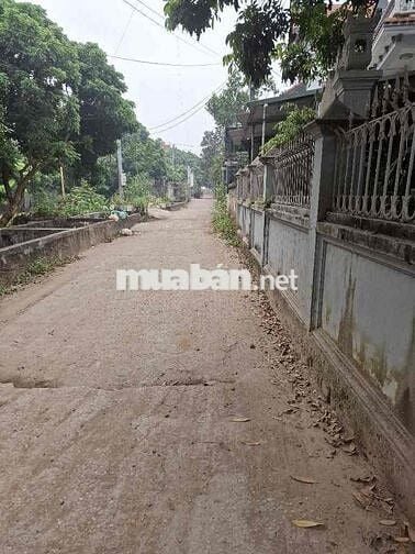 Bán Nhanh,Phụng Châu, lô Góc, ô tô đậu ngõ,120m,4.8tỷ