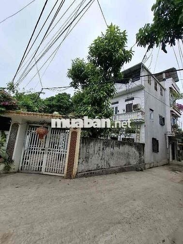 Bán Nhanh,Phụng Châu, lô Góc, ô tô đậu ngõ,120m,4.8tỷ