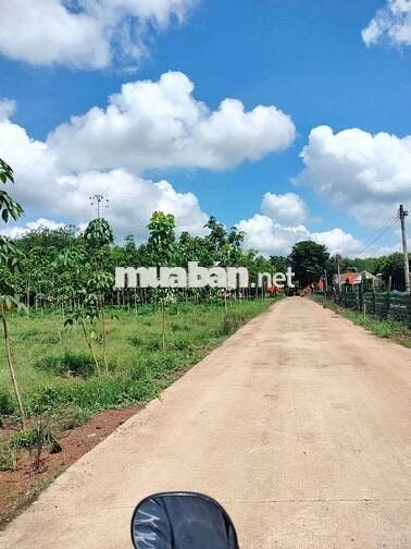 Cần bán lô đất thổ cư ngang 12m, 1 sẹc đường lớn TPHCM mới. Giá 725tr