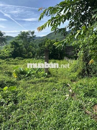 chào bán lô đất ở viêu đồng diện tích 375m đất ở hoàn toàn