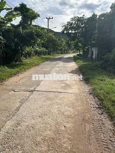 chào bán lô đất ở viêu đồng diện tích 375m đất ở hoàn toàn