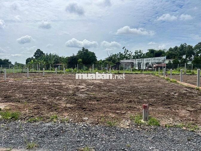 Cần Bán gấp 100m2 giá 1ty650 full thổ shr