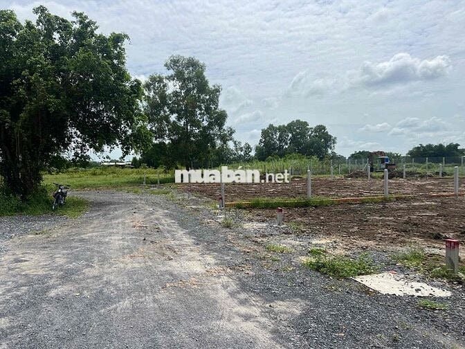 Cần Bán gấp 100m2 giá 1ty650 full thổ shr