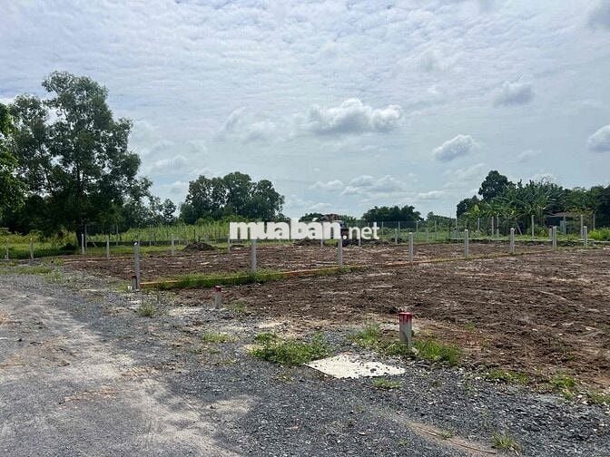Cần Bán gấp 100m2 giá 1ty650 full thổ shr