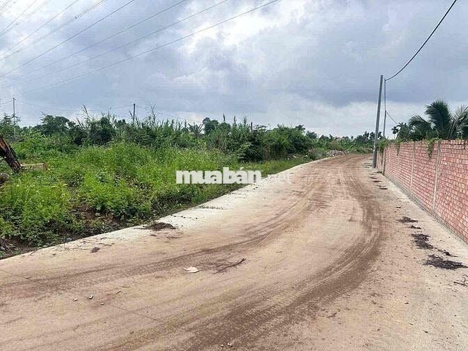 Đất thổ cư Tân Triều 80m2 số lượng có hạn