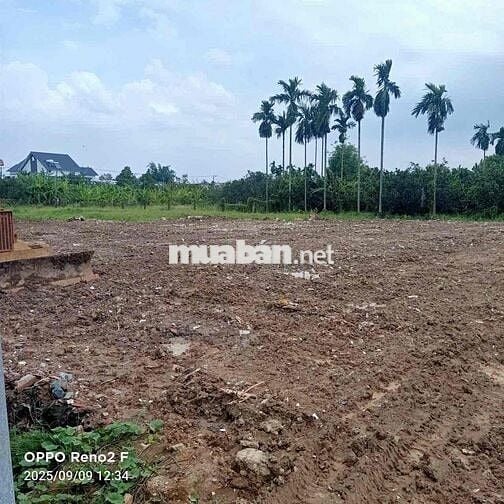 Đất thổ cư Tân Triều 80m2 số lượng có hạn