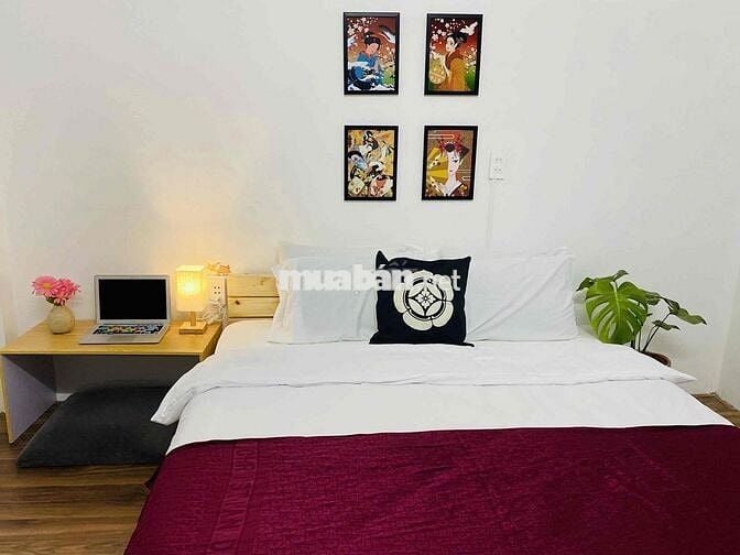 Cơ hội vàng đầu tư thông minh: Homestay dòng tiền ổn định, sin