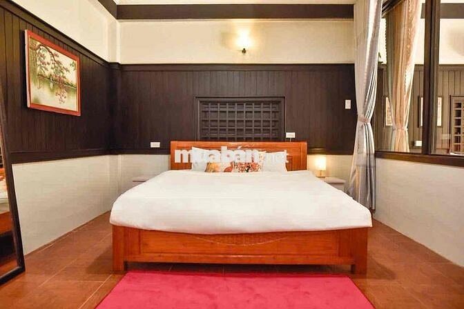 Cơ hội vàng đầu tư thông minh: Homestay dòng tiền ổn định, sin