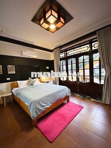 Cơ hội vàng đầu tư thông minh: Homestay dòng tiền ổn định, sin