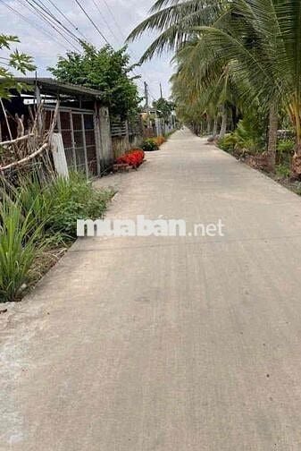 Ấp 7 Nhựt Chánh, Bến Lức ,Long An