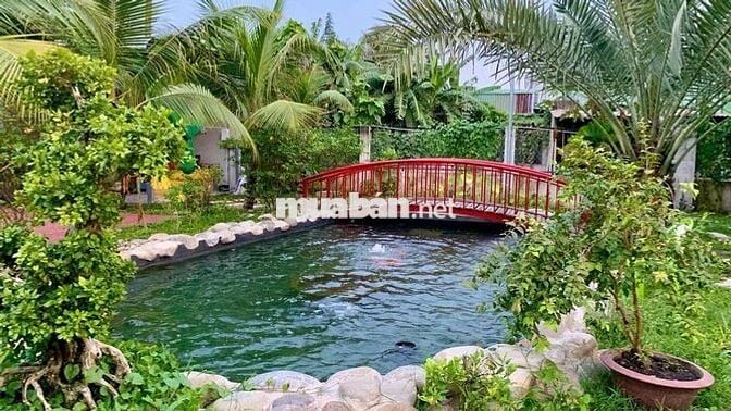 Bán Nhà Vườn Dĩ An 15tỷ Vị Trí Nghỉ Dưỡng