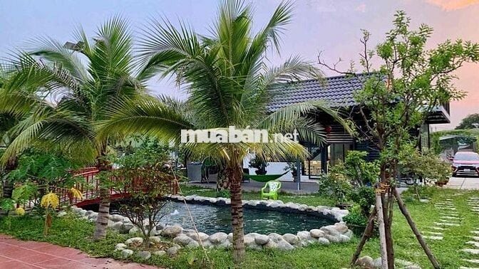 Bán Nhà Vườn Dĩ An 15tỷ Vị Trí Nghỉ Dưỡng