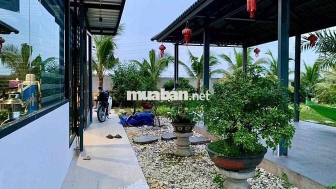 Bán Nhà Vườn Dĩ An 15tỷ Vị Trí Nghỉ Dưỡng