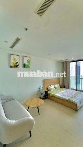 VV Cho thuê căn hộ studio view biển Sceniabay
