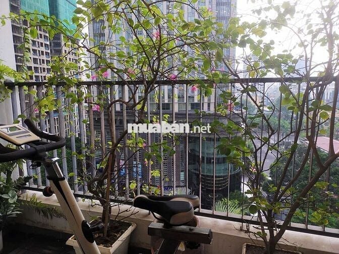 Chung cư The Golden Palm 21 Lê Văn Lương 100m2 3pn 2vs 24tr