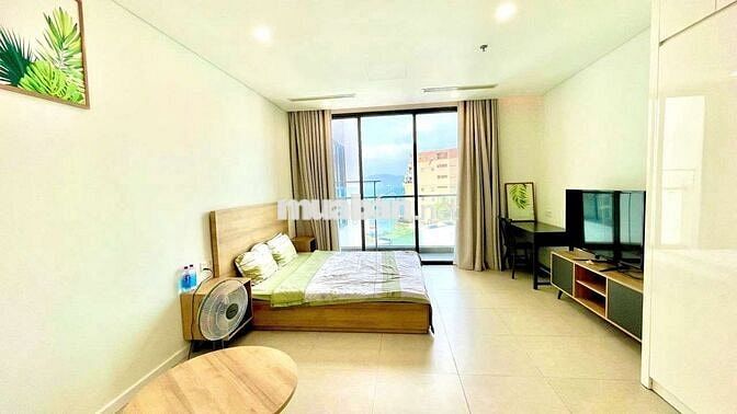 VV Cho thuê căn hộ studio view biển Sceniabay