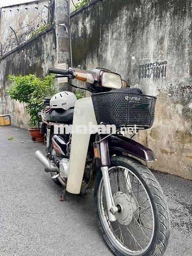 Honda Citi
