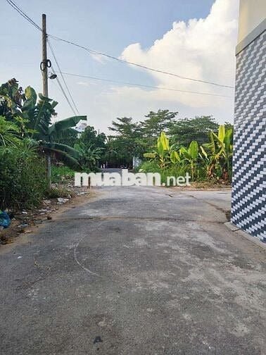 🆘🆘 123m2 ĐẤT THỔ CƯ HẺM ĐƯỜNG NHỰA XE HƠI TỚI ĐẤT