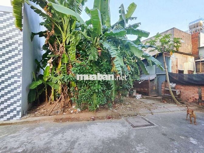 🆘🆘 123m2 ĐẤT THỔ CƯ HẺM ĐƯỜNG NHỰA XE HƠI TỚI ĐẤT