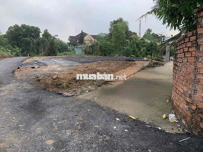 Giá đầu tư - bán 9 lô đất Bửu Hoà đường xe hơi