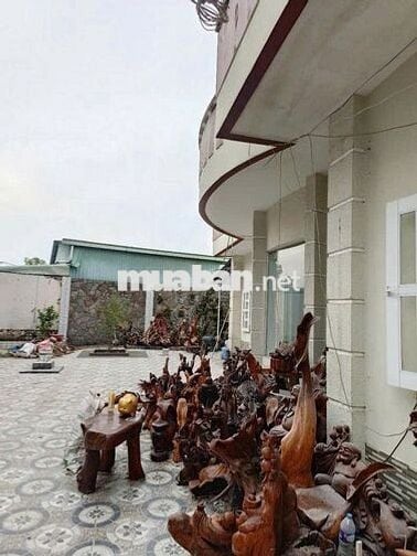 Đất 330m² tặng Biệt thự 2T Hoàng Diệu 2 Thủ Đức – chỉ 23.5 tỷ