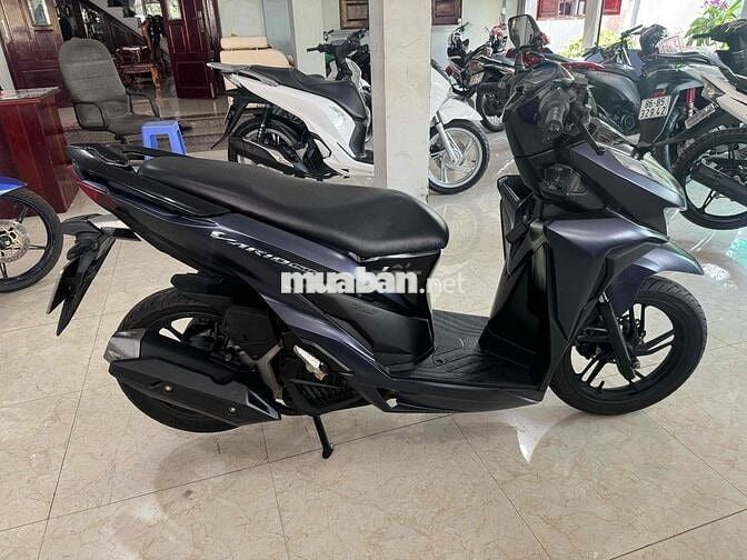vario 150