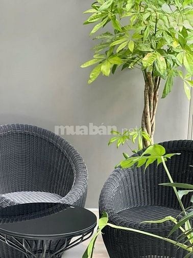 Chuyển nhượng căn hộ 2PN,65m2/2.5 tỷ Sky Center,Tân Bình,sổ hồng riêng
