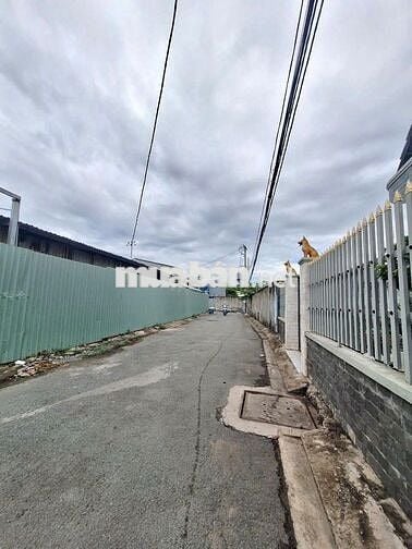 Bán Lô Đất Full Thổ Cư Khu Dân Cư Hiện Hữu- Nguyễn Văn Tạo, Nhà Bè.