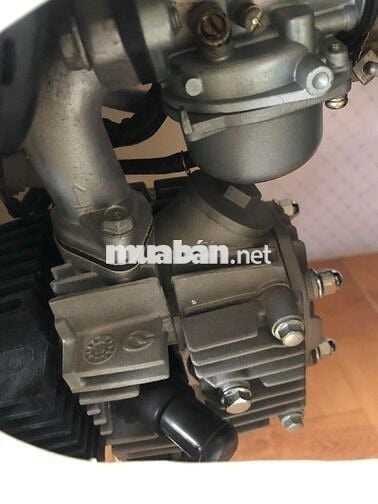 Thanh lí cup 50cc biển đẹp 052.52