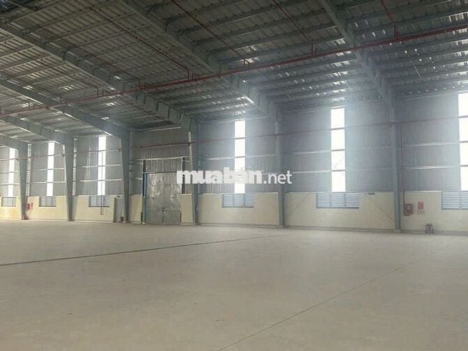 Cho thuê kho xưởng 3.300m² trong KCN Tây Ninh, PCCC tự động, công 24h