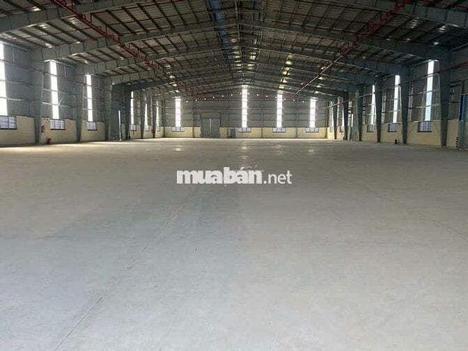 Cho thuê kho xưởng 3.300m² trong KCN Tây Ninh, PCCC tự động, công 24h