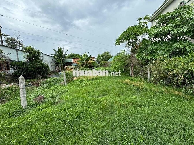 Chính chủ bán đất thổ cư 100% Bến Than, Hoà Phú .Củ Chi