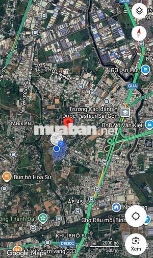 Đất cây lâu năm, Tân Nhựt mới ( Tân Kiên cũ) Tp.HCM. 2950m2. Chính chủ