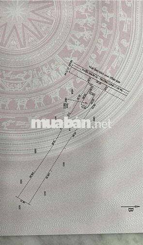 Bán 5140m2 đất Nhơn Ái, Phong Điền có 300m thổ cư - 7 tỷ (TL nhẹ)