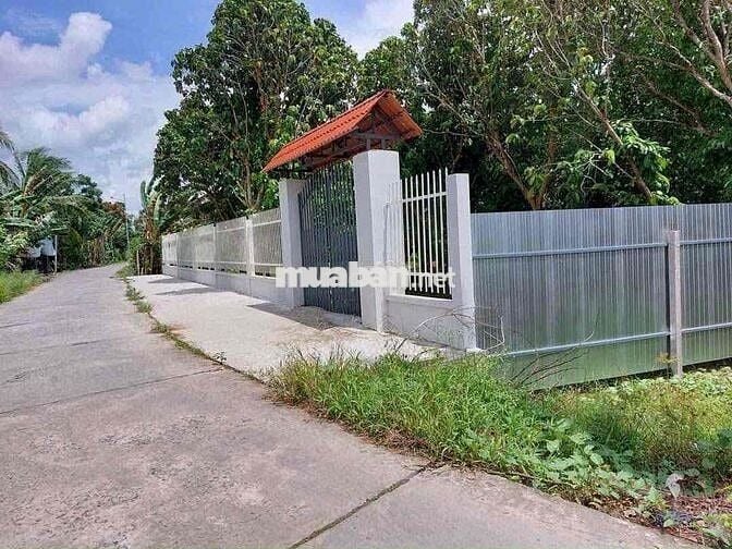 Bán 5140m2 đất Nhơn Ái, Phong Điền có 300m thổ cư - 7 tỷ (TL nhẹ)