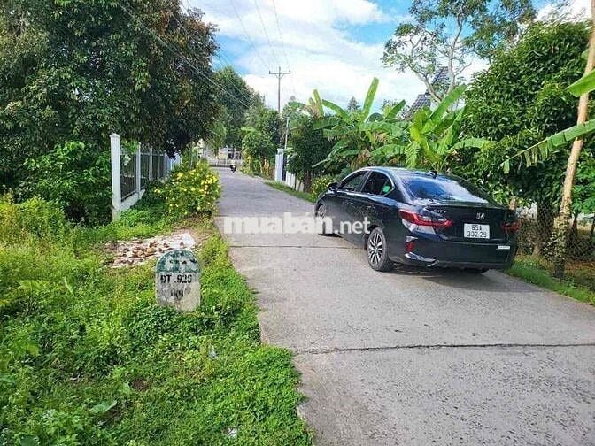 Bán 5140m2 đất Nhơn Ái, Phong Điền có 300m thổ cư - 7 tỷ (TL nhẹ)