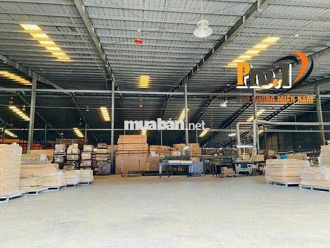 cho thuê kho - xưởng đa dạng diện tích thuộc cụm kho Long Bình