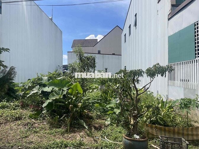 ĐẤT FULL THỔ CƯ NGAY TRƯỜNG ĐẠI HỌC TÔN ĐỨC THẮNG 5X20m FULL THỔ CƯ