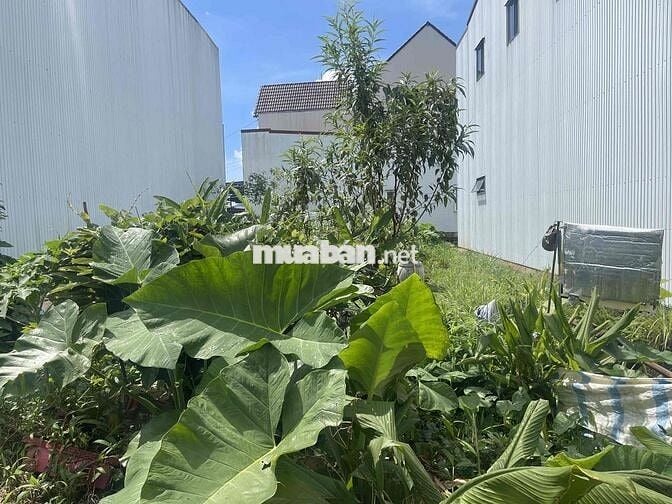 ĐẤT FULL THỔ CƯ NGAY TRƯỜNG ĐẠI HỌC TÔN ĐỨC THẮNG 5X20m FULL THỔ CƯ