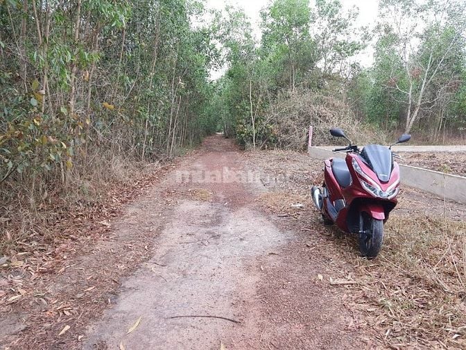Chủ cần bán đất phủ hồng gần 25C xã Vĩnh Thanh, 2 mặt tiền, giá tốt