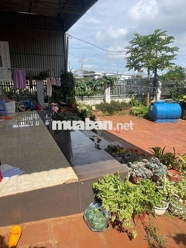 QUÁ RẺ NHÀ HẺM 442 YMON PHƯỜNG BUÔN MA THUỘC