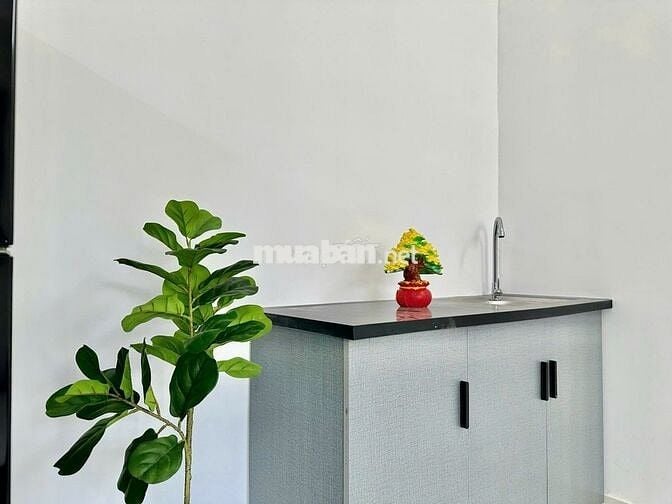 🌟 STUDIO FULL NỘI THẤT CỬA SỔ THOÁNG MÁT GẦN VHU