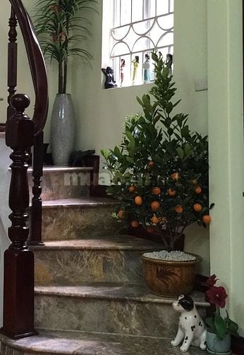 Cho thuê cả nhà 4 tầng, gần chợ, trường học, bệnh viện, 20 m ra ngõ ôô