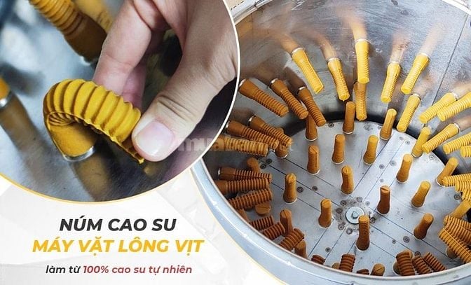 Núm cao su máy vặt lông gà vịt số lượng lớn
