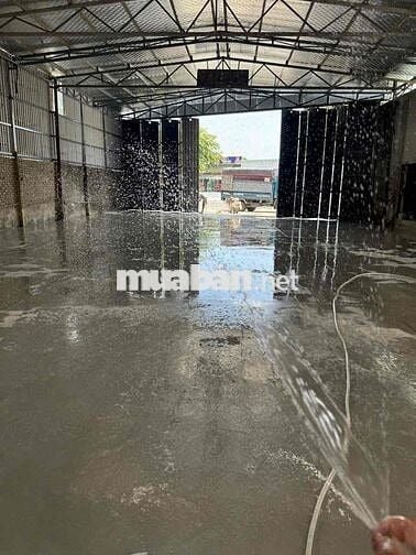 Cho thuê mặt bằng - kho đường Hoàng Văn Thái . diện tích :450m2