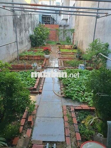 Bán Đất Hẻm Bình Giã P Vũng Tàu HCM