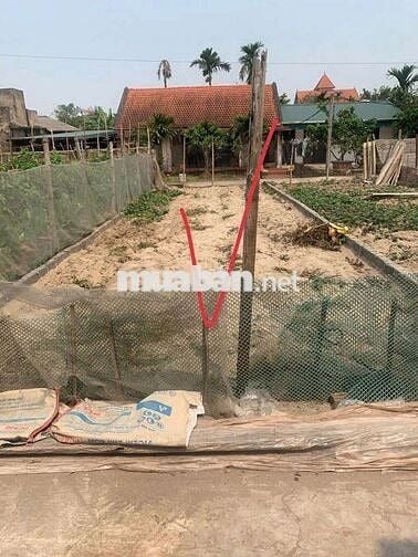 🚀🚀🚀 Siêu phẩm xóm 2 chương dương Thường Tín - HÀ NỘI - Đất Siêu hiế